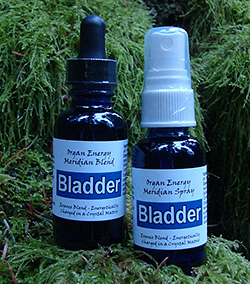 Bladder Organ Energy Meridian Essence Blend