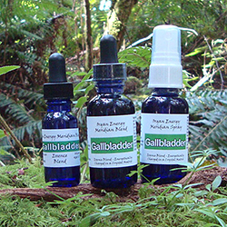 Gallbladder Organ Energy Meridian Blend