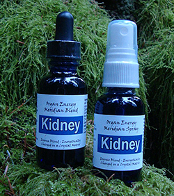 Kidney Organ Energy Meridian Essence Blend