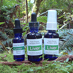 Liver Organ Energy Meridian Blend