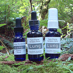Lung Organ Energy Meridian Essence Blend