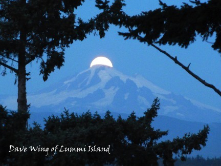 Moon Over Mt. Baker by David Wing