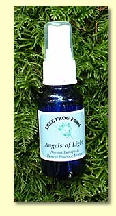 Angels of Light Aromatherapy / Flower Essence Mister