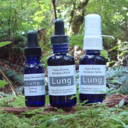 lung-oemb