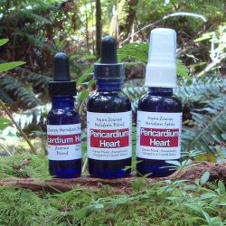 Pericardium Heart