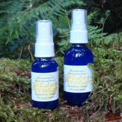 Golden Armor Aromatherapy and Essence Mister - Tree Frog Farm