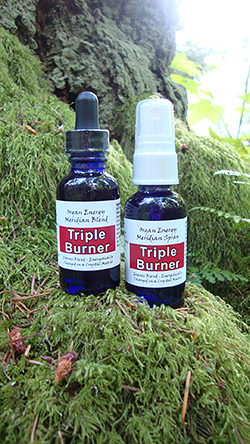 Triple Burner Organ Energy Meridian Essence Blend