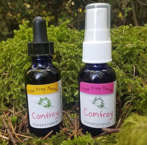 1 oz flower essences
